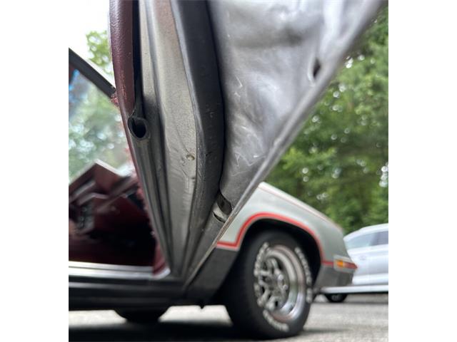 1984 Oldsmobile 442 (CC-2086107) for sale in Hingham, Massachusetts