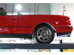 1999 Mercedes-Benz CLK320 (CC-2080611) for sale in Lutz, Florida