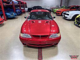 1996 Ford Mustang SVT Cobra (CC-2086135) for sale in Glen Ellyn, Illinois