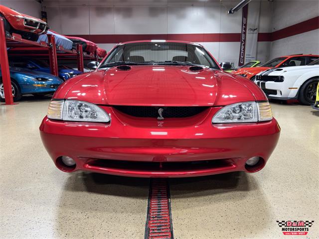 1996 Ford Mustang SVT Cobra (CC-2086135) for sale in Glen Ellyn, Illinois