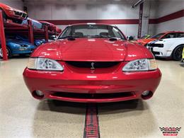1996 Ford Mustang SVT Cobra (CC-2086135) for sale in Glen Ellyn, Illinois