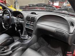1996 Ford Mustang SVT Cobra (CC-2086135) for sale in Glen Ellyn, Illinois