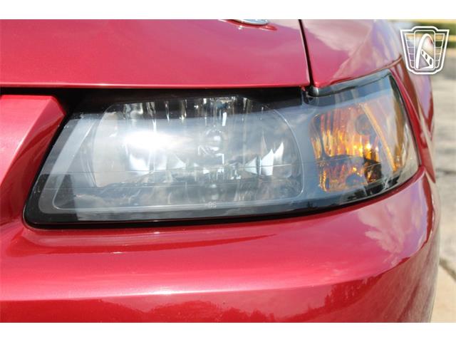 2003 Ford Mustang SVT Cobra (CC-2080614) for sale in Crete, Illinois
