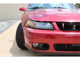 2003 Ford Mustang SVT Cobra (CC-2080614) for sale in Crete, Illinois
