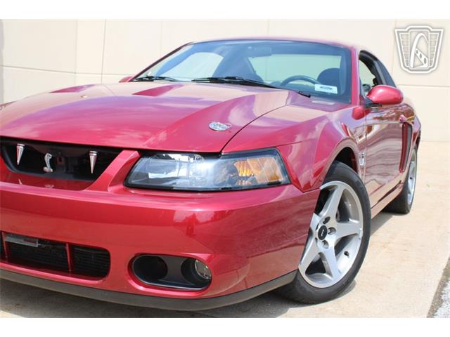 2003 Ford Mustang SVT Cobra (CC-2080614) for sale in Crete, Illinois