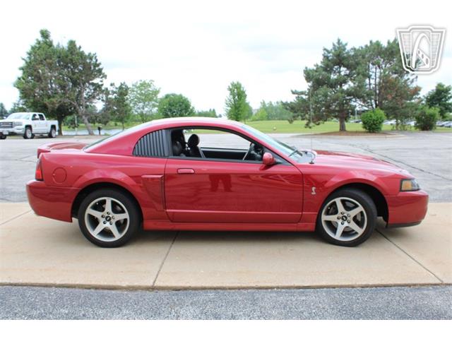 2003 Ford Mustang SVT Cobra (CC-2080614) for sale in Crete, Illinois