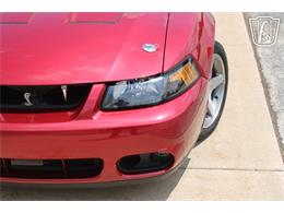 2003 Ford Mustang SVT Cobra (CC-2080614) for sale in Crete, Illinois
