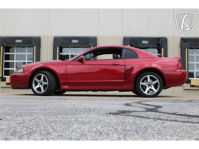 2003 Ford Mustang SVT Cobra (CC-2080614) for sale in Crete, Illinois