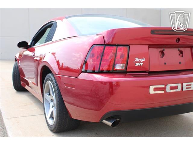 2003 Ford Mustang SVT Cobra (CC-2080614) for sale in Crete, Illinois