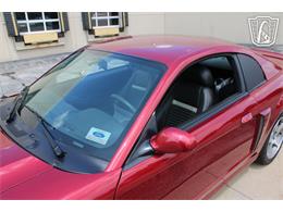 2003 Ford Mustang SVT Cobra (CC-2080614) for sale in Crete, Illinois