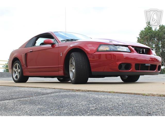 2003 Ford Mustang SVT Cobra (CC-2080614) for sale in Crete, Illinois