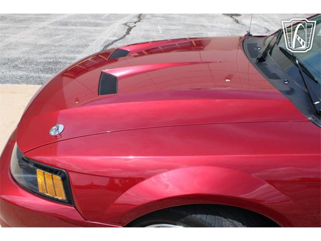 2003 Ford Mustang SVT Cobra (CC-2080614) for sale in Crete, Illinois