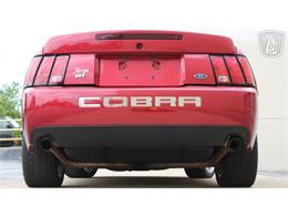 2003 Ford Mustang SVT Cobra (CC-2080614) for sale in Crete, Illinois