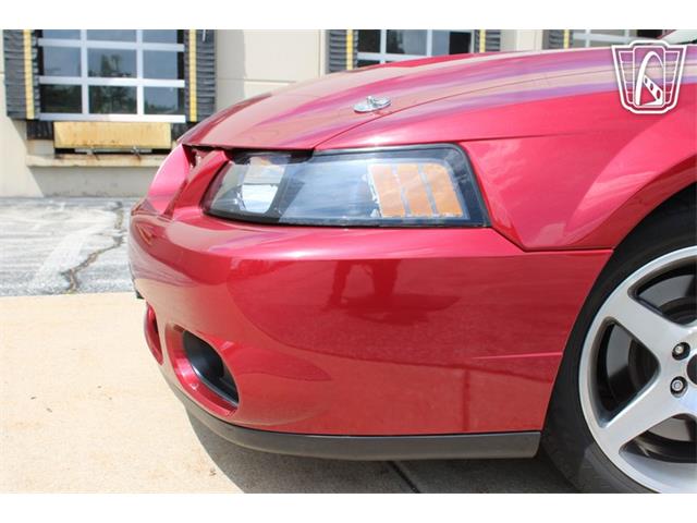 2003 Ford Mustang SVT Cobra (CC-2080614) for sale in Crete, Illinois