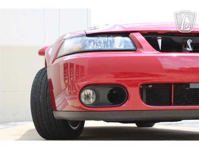 2003 Ford Mustang SVT Cobra (CC-2080614) for sale in Crete, Illinois