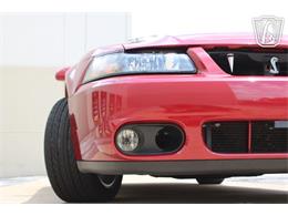 2003 Ford Mustang SVT Cobra (CC-2080614) for sale in Crete, Illinois