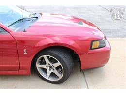 2003 Ford Mustang SVT Cobra (CC-2080614) for sale in Crete, Illinois