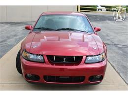 2003 Ford Mustang SVT Cobra (CC-2080614) for sale in Crete, Illinois