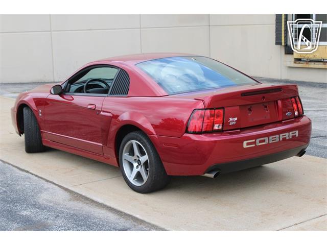 2003 Ford Mustang SVT Cobra (CC-2080614) for sale in Crete, Illinois