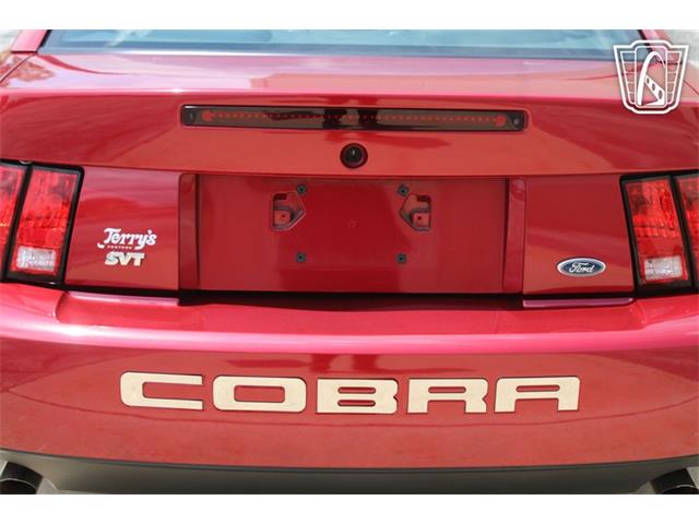 2003 Ford Mustang SVT Cobra (CC-2080614) for sale in Crete, Illinois
