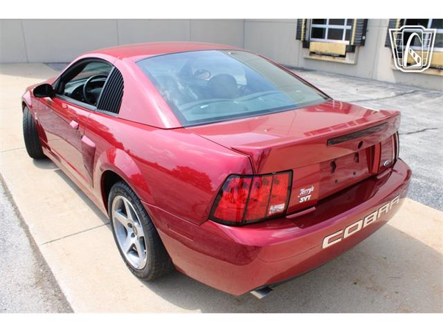 2003 Ford Mustang SVT Cobra (CC-2080614) for sale in Crete, Illinois