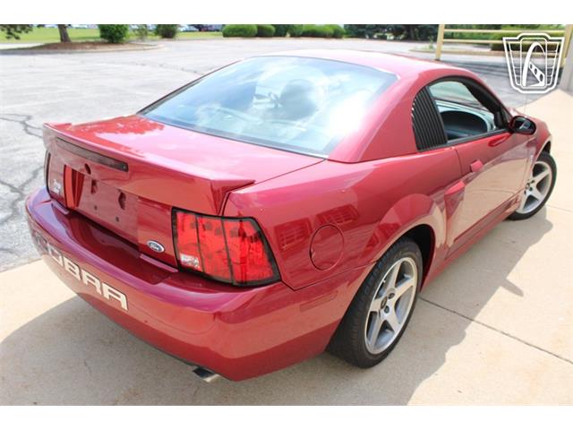 2003 Ford Mustang SVT Cobra (CC-2080614) for sale in Crete, Illinois