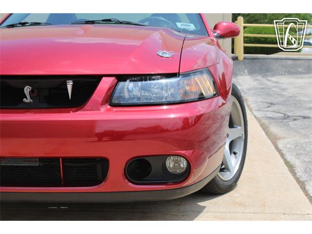 2003 Ford Mustang SVT Cobra (CC-2080614) for sale in Crete, Illinois