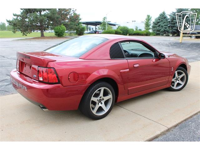 2003 Ford Mustang SVT Cobra (CC-2080614) for sale in Crete, Illinois