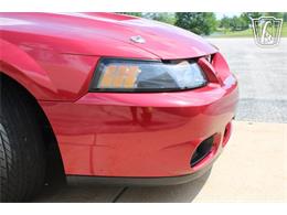2003 Ford Mustang SVT Cobra (CC-2080614) for sale in Crete, Illinois