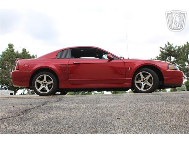 2003 Ford Mustang SVT Cobra (CC-2080614) for sale in Crete, Illinois
