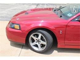 2003 Ford Mustang SVT Cobra (CC-2080614) for sale in Crete, Illinois