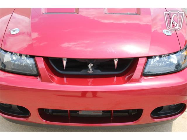 2003 Ford Mustang SVT Cobra (CC-2080614) for sale in Crete, Illinois