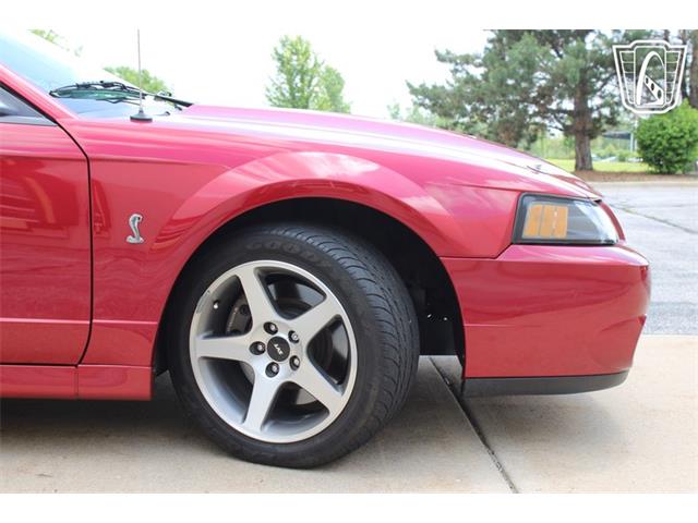 2003 Ford Mustang SVT Cobra (CC-2080614) for sale in Crete, Illinois
