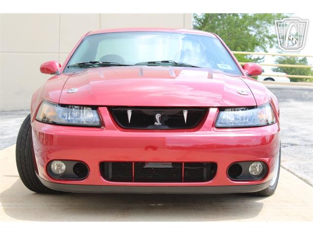 2003 Ford Mustang SVT Cobra (CC-2080614) for sale in Crete, Illinois