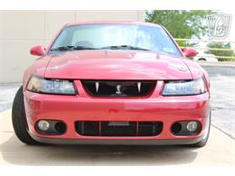 2003 Ford Mustang SVT Cobra (CC-2080614) for sale in Crete, Illinois