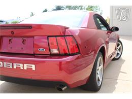 2003 Ford Mustang SVT Cobra (CC-2080614) for sale in Crete, Illinois