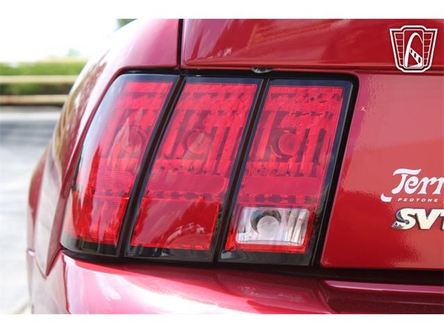 2003 Ford Mustang SVT Cobra (CC-2080614) for sale in Crete, Illinois