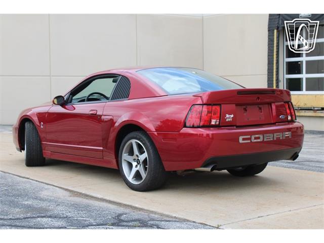 2003 Ford Mustang SVT Cobra (CC-2080614) for sale in Crete, Illinois