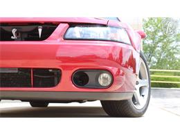 2003 Ford Mustang SVT Cobra (CC-2080614) for sale in Crete, Illinois