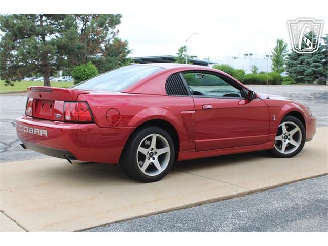 2003 Ford Mustang SVT Cobra (CC-2080614) for sale in Crete, Illinois