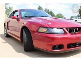 2003 Ford Mustang SVT Cobra (CC-2080614) for sale in Crete, Illinois
