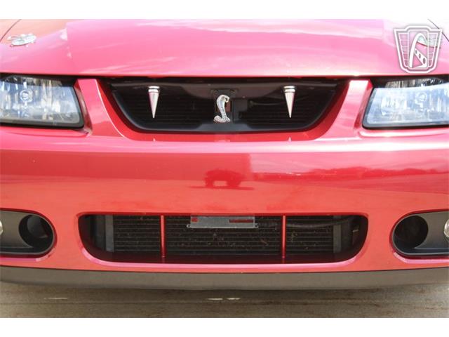 2003 Ford Mustang SVT Cobra (CC-2080614) for sale in Crete, Illinois