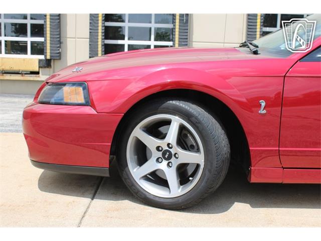 2003 Ford Mustang SVT Cobra (CC-2080614) for sale in Crete, Illinois