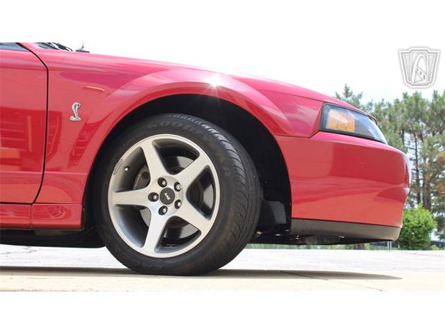 2003 Ford Mustang SVT Cobra (CC-2080614) for sale in Crete, Illinois
