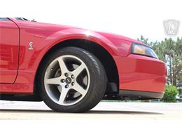2003 Ford Mustang SVT Cobra (CC-2080614) for sale in Crete, Illinois