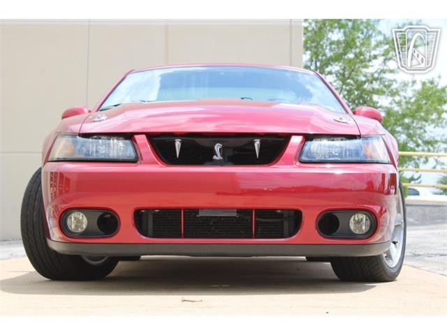 2003 Ford Mustang SVT Cobra (CC-2080614) for sale in Crete, Illinois