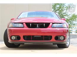 2003 Ford Mustang SVT Cobra (CC-2080614) for sale in Crete, Illinois