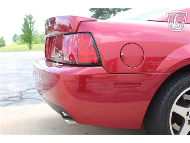 2003 Ford Mustang SVT Cobra (CC-2080614) for sale in Crete, Illinois