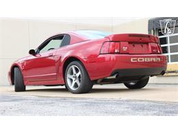 2003 Ford Mustang SVT Cobra (CC-2080614) for sale in Crete, Illinois