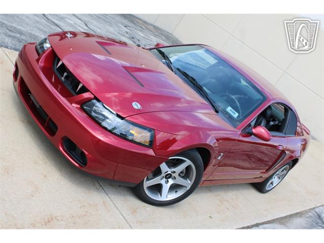 2003 Ford Mustang SVT Cobra (CC-2080614) for sale in Crete, Illinois